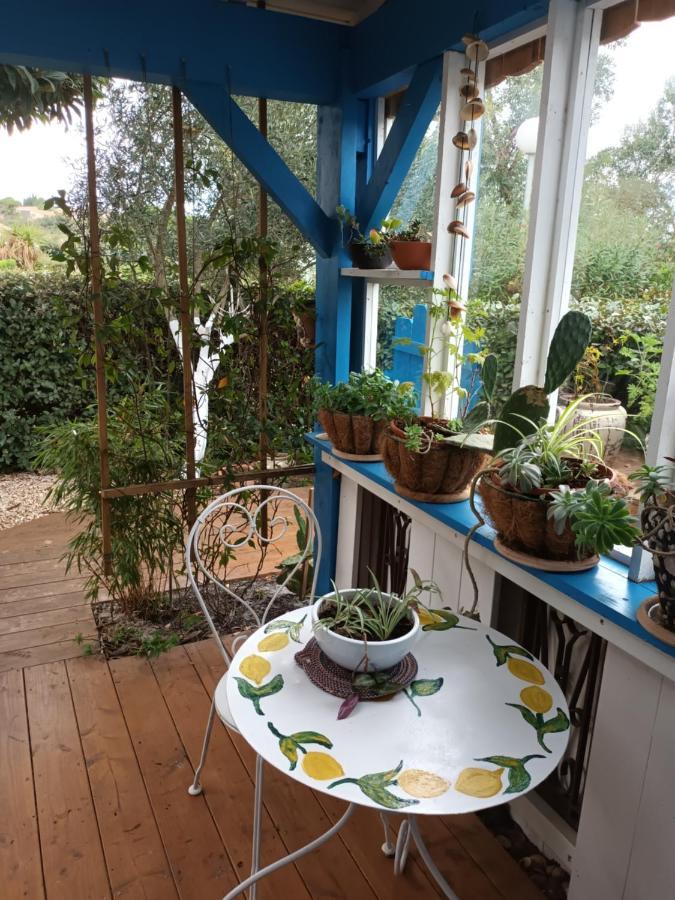 La cabane du pêcheur Mèze Extérieur photo